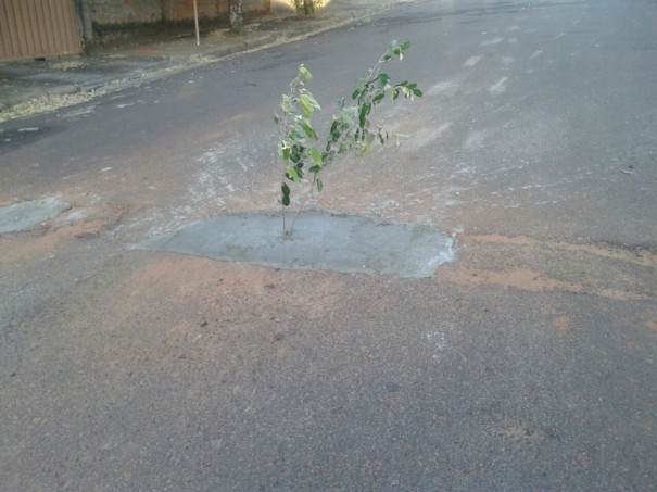 Morador de Osvaldo Cruz usa a criatividade para protestar contra buracos na rua