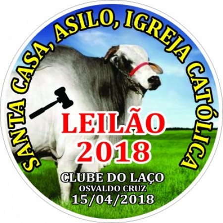 Leilão em prol da Santa Casa, do Asilo e também da Matriz de São José acontece no próximo dia 15