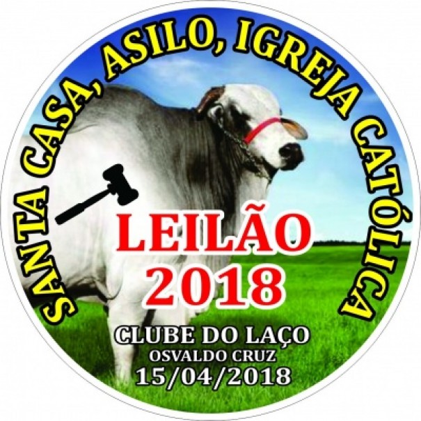 Leilo em prol da Santa Casa, do Asilo e tambm da Matriz de So Jos acontece no prximo dia 15