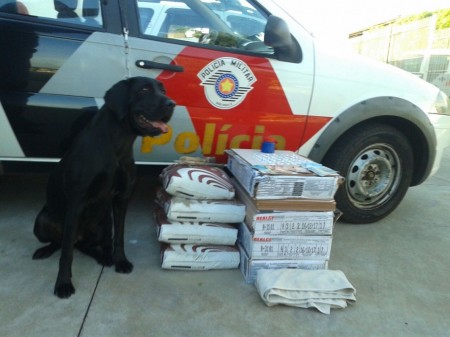 Usuário é detido com produtos de construção furtados 