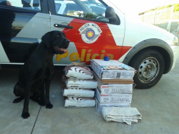 Usurio  detido com produtos de construo furtados 