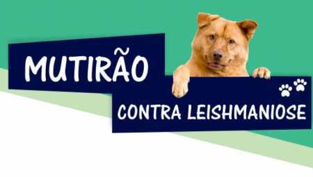 Vigilância Epidemiológica de OC realiza Mutirão da Leishmaniose