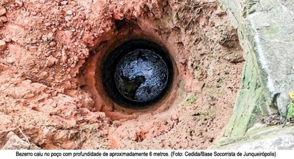 Bombeiros demoram mais de duas horas para salvar bezerro que caiu em poo