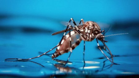 Equipe da Unidade de Reforço ao enfrentamento à Dengue salva vida de paciente em Osvaldo Cruz