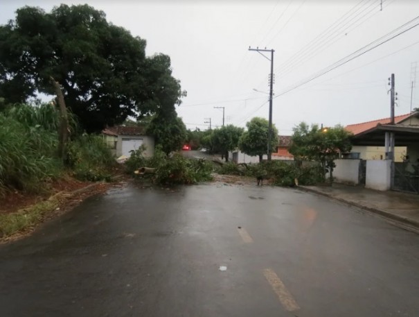 Chuva forte causa estragos em Osvaldo Cruz