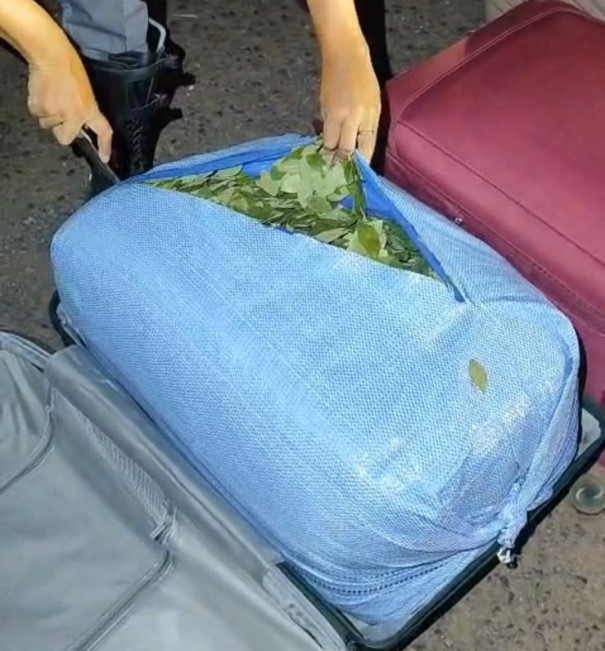 Fiscalização apreende quase 100kg de folhas de coca em ônibus em Presidente Prudente