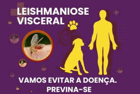 CCZ implementa acompanhamento de casos de Leishmaniose Animal