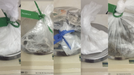 Mulheres sÃ£o presas em flagrante ao tentarem ingressar em unidade prisional com entorpecentes