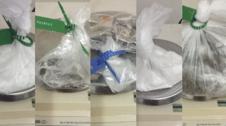 Mulheres sÃ£o presas em flagrante ao tentarem ingressar em unidade prisional com entorpecentes