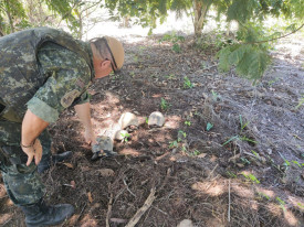 Homem Ã© multado em R$ 3 mil por manter seis jabutis em cativeiro em Adamantina