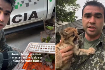 CapitÃ£o da PM destaca papel da denÃºncia no combate a crimes ambientais: 'Choca atÃ© quem tem casca grossa'