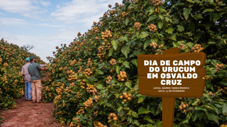 Secretaria de Agricultura e Meio Ambiente de OC realiza Dia de Campo do Urucum 