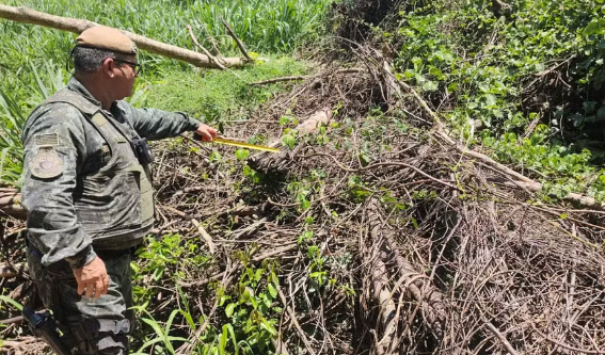 Com apoio de imagens de satélite, polícia flagra e multa homem em R$ 1,5 mil por desmatamento ilegal em Salmourão