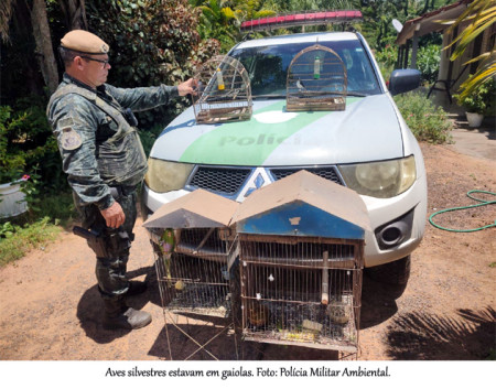 Sitiante Ã© multado em R$ 2 mil por manter aves silvestres em cativeiro, em Osvaldo Cruz