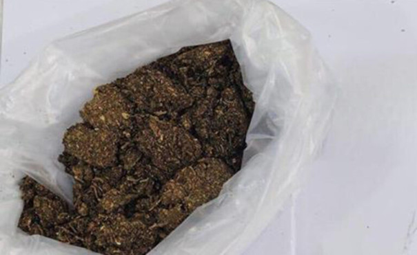 Policiais Penais apreendem maconha com visitante na Penitenciária de Flórida Paulista