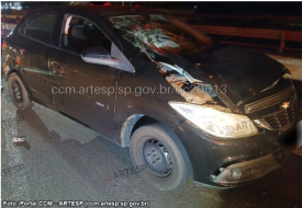 Pedestre morre apÃ³s ser atropelada por carro ao tentar atravessar rodovia em MarÃ­lia