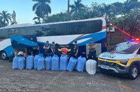 Duas bolivianas sÃ£o flagradas com drogas em Ã´nibus de viagem durante fiscalizaÃ§Ã£o em rodovia da regiÃ£o
