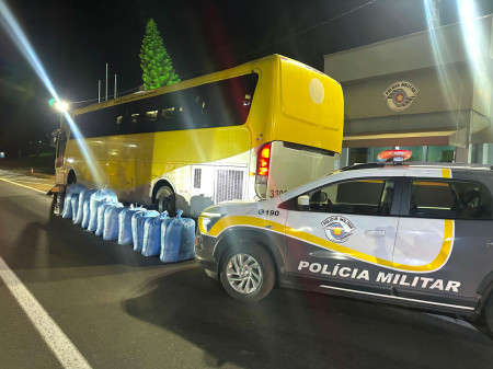 Bolivianos sÃ£o detidos com mais 330kg de folhas de cocaÃ­na e 1.300 maÃ§os de essÃªncias de narguilÃ©