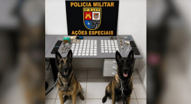 Com apoio de cÃ£es farejadores, operaÃ§Ã£o cumpre mandados e prende trÃªs por trÃ¡fico de drogas