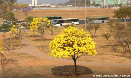Centro-Oeste tem trÃªs alertas ativos para chuvas e baixa umidade