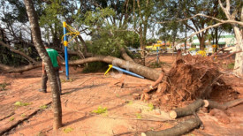 Vendaval causa destelhamento, queda de Ã¡rvores e danos em estruturas em Adamantina