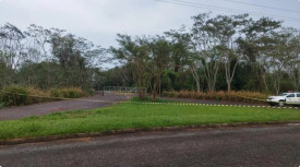 Homem Ã© encontrado morto na Rodovia Engenheiro Isaac Amaral, em Rosana