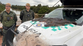 Pescador Ã© autuado apÃ³s captura de pintados abaixo da medida no Rio AguapeÃ­ em FlÃ³rida Paulista