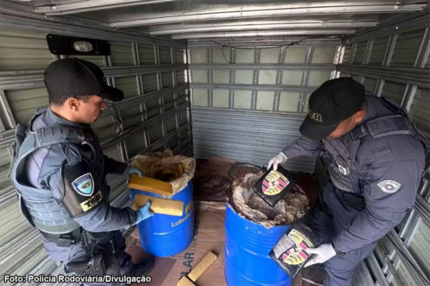 Polícia encontra 195 kg de maconha e skunk com logotipo de montadora de luxo em caminhão em Presidente Prudente