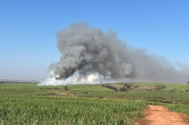 Agricultores relatam incÃªndio criminoso que destruiu 50 alqueires de cana de aÃ§Ãºcar entre Osvaldo Cruz e SalmourÃ£o