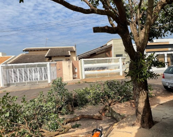 Prefeitura de OC realiza poda preventiva de árvores em ruas contempladas pelo programa de recapeamento