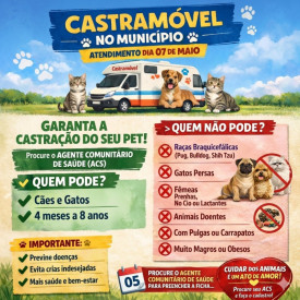 Prefeitura de Sagres traz CastramÃ³vel para cirurgias gratuitas em cÃ£es e gatos 
