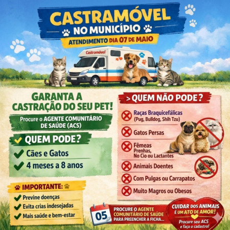 Prefeitura de Sagres traz CastramÃ³vel para cirurgias gratuitas em cÃ£es e gatos 