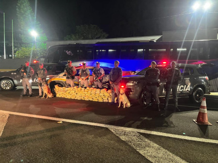 PolÃ­cia RodoviÃ¡ria apreende quase 100 kg de skunk escondidos em fundo falso de Ã´nibus em Prudente