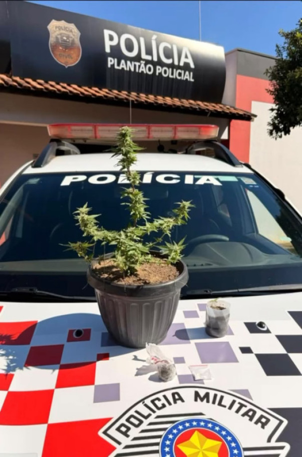 Polícia Militar apreende entorpecentes e registra ocorrência de tráfico em Osvaldo Cruz