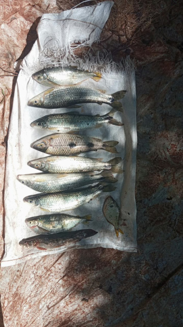 Homem é autuado em R$ 1,1 mil por pesca irregular em Sandovalina
