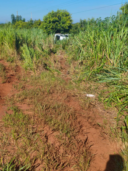 Mulheres morrem atropeladas por carro que capotou na Rodovia Arlindo BÃ©tio