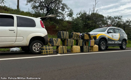 Motorista e passageira adolescente sÃ£o flagrados com mais de 316 quilos de maconha em rodovia da regiÃ£o