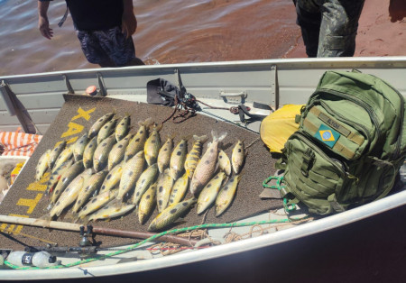 Homens sÃ£o multados em quase R$ 4 mil por pescarem em local proÃ­bido no Rio ParanÃ¡, em Rosana