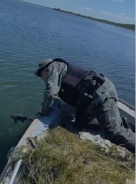 PolÃ­cia Ambiental apreende mais de um quilÃ´metro de redes de pesca em Rosana e Presidente EpitÃ¡cio