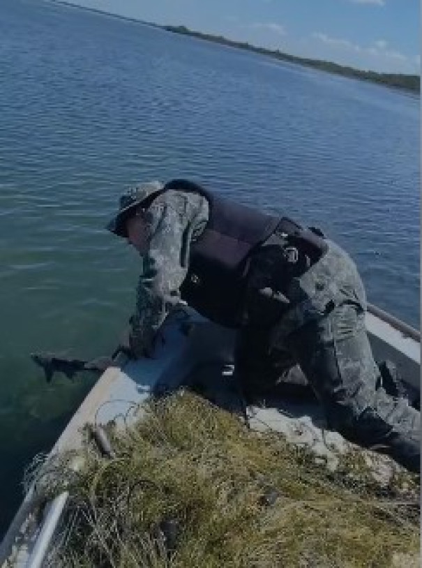 Polícia Ambiental apreende mais de um quilômetro de redes de pesca em Rosana e Presidente Epitácio