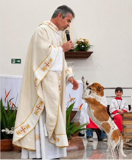 Cachorro invade missa de PÃ¡scoa e emociona fiÃ©is em Osvaldo Cruz; cena viral reforÃ§a debate sobre proteÃ§Ã£o animal