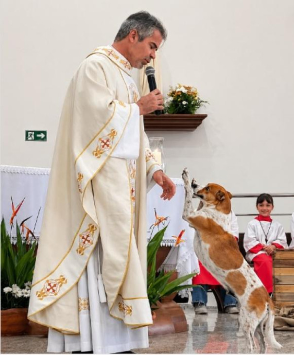 Cachorro invade missa de Páscoa e emociona fiéis em Osvaldo Cruz; cena viral reforça debate sobre proteção animal