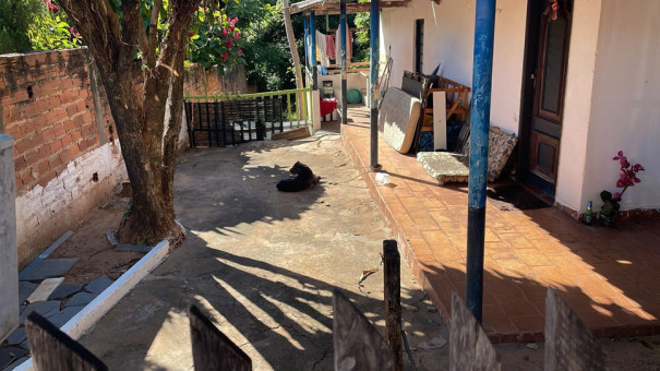 Tutor leva multa de R$ 3 mil por manter cachorro acorrentado em quintal de residência, em Álvares Machado
