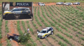 Dois homens sÃ£o presos com quase 700 kg de maconha em rodovia de Clementina