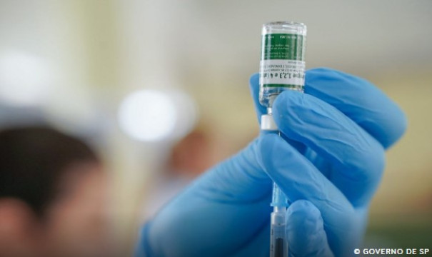 Dengue: Anvisa cria grupo para avaliar segurança da vacina do Butantan