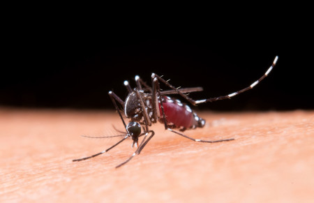 Dracena investiga morte de homem de 50 anos por suspeita por dengue