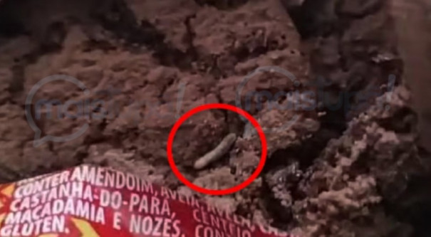 Fabricante de biscoitos é condenada após criança encontrar larvas ao ingerir cookies