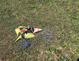 Linhas de pipa com material cortante sÃ£o encontradas em local onde garota foi atingida no pescoÃ§o e morreu