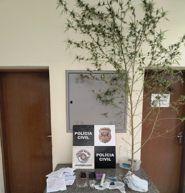 Após denúncia anônima, idoso e mulher são presos em flagrante por tráfico de drogas em Presidente Bernardes