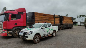 Motorista e empresa sÃ£o multados em mais de R$ 32 mil por transporte irregular de madeira